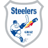 Steelers logo