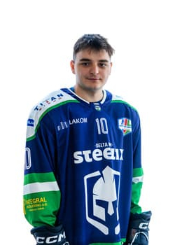 Luka Bodiroga