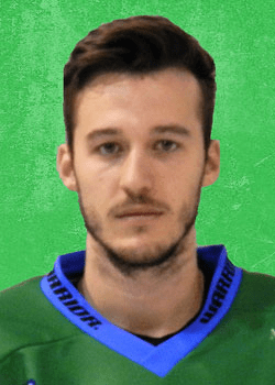 Andraz Zibelnik