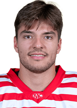 Fabian Hochegger
