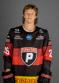 Julian Metzler