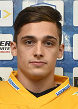 David Laner