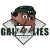 Vereinslogo ASKÖ Grizzlies Linz 2