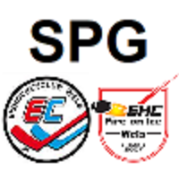 Vereinslogo SPG Wels 1 / EC Kapsreiter Wels