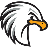 Vereinslogo VSV Lady Hawks