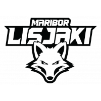 Vereinslogo HDK Maribor