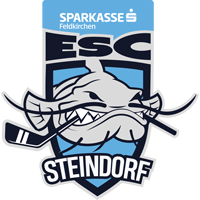 Vereinslogo ESC Sparkasse Steindorf